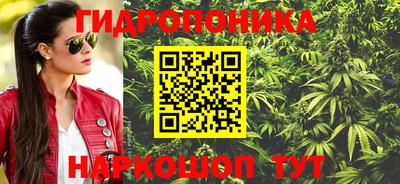 гидра Свободный