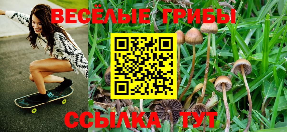 Галлюциногенные грибы Magic Shrooms  Вход с VPN  что такое наркотик  Сибай 